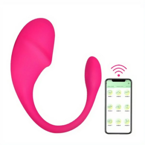 mysextoysindia app control vibrator