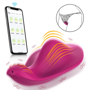 App Controlled panty vibrator