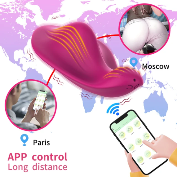 App Controlled panty vibrator