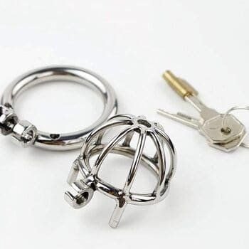 61MuObMX6XL._AC_SX679_ Stainless Steel Chasisty Cage