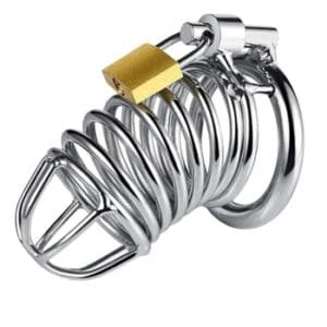 steel chastity cage