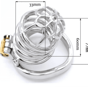 chastity steel lock